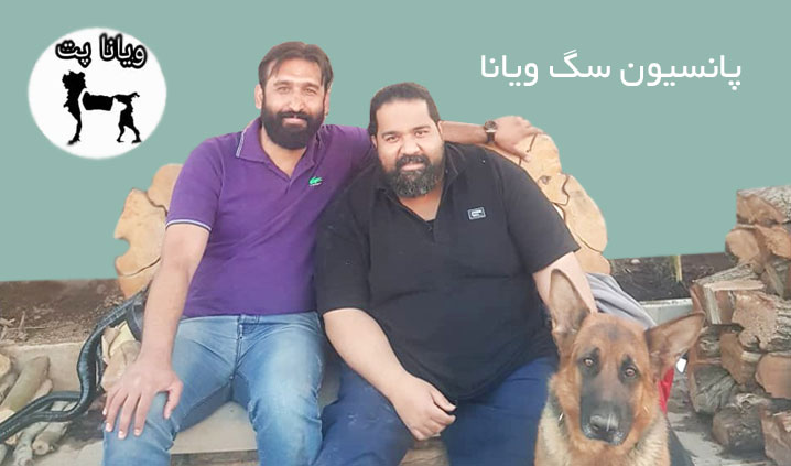 آموزش و تربیت سگ در تهران